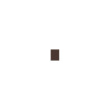 Inebrya Bionic Color (100ml) (4/0 Chestnut)