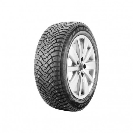 195/55R16 Dunlop Winter Ice03 91T naast