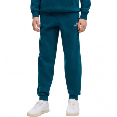 Puma laste püksid ESS 2 Color No. 1 Logo 685824 36 128cm, türkiissinine