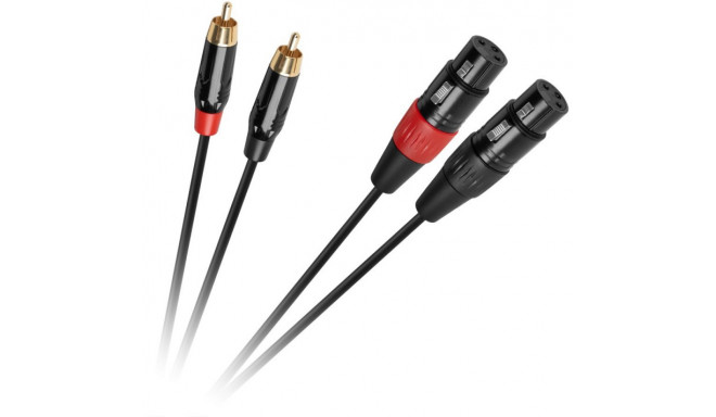 Cabletech kaabel 2xXLR - 2xRCA 1m