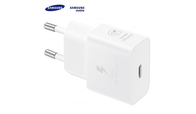 laadija USB-C 25W kaabliga valge
