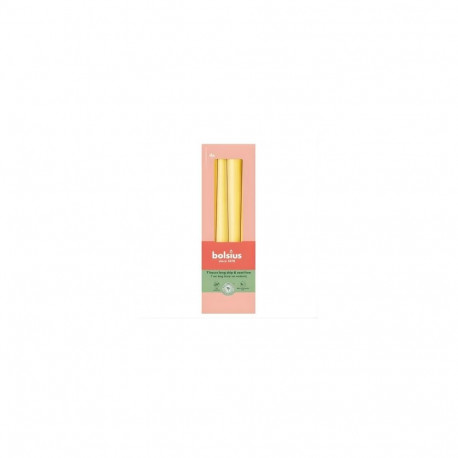 bolsius Table candles 4pcs. in a box 245/24mm yellow