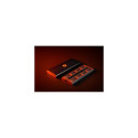 EK Loop Screwdriver Basic Set Precision screwdriver