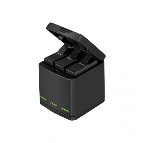 Action Camera Battery Charger - Telesin GP-BNC-801, 2 Batteries, Black