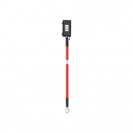 Alternator Charger Fuse Cable - ECOFLOW EFL-AltCharFusCab 125 A