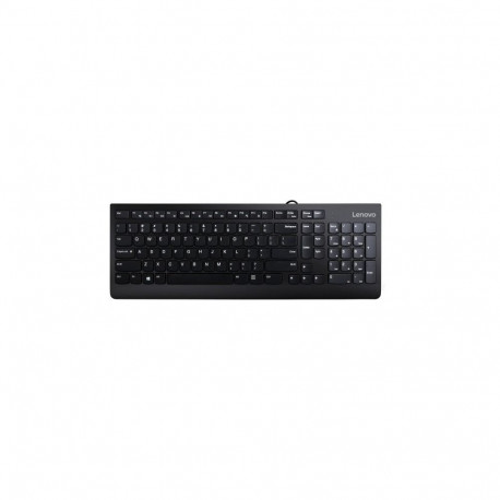 Lenovo 300 USB (US)