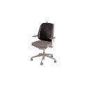 Mesh Back Support 9191301