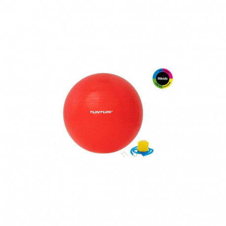 Tunturi Gymball with pump 65cm, Red