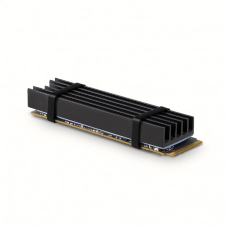 Axagon jahutusradiaator CLR-M2L10 M.2 NVMe SSD-le, must, 1tk