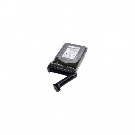 DELL 2,5" 480GB SATA ISE RI 6Gbps 512e 6,35cm koos 8,89cm 3,5Zoll HYB CARR CK