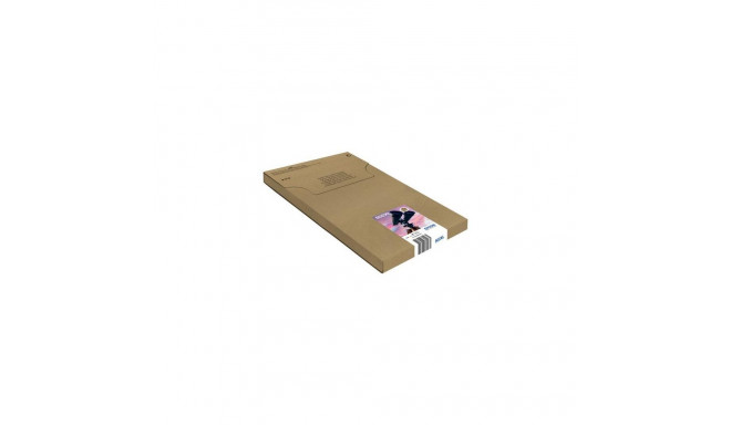 Epson Multipack 4-colours 502XL EasyMail