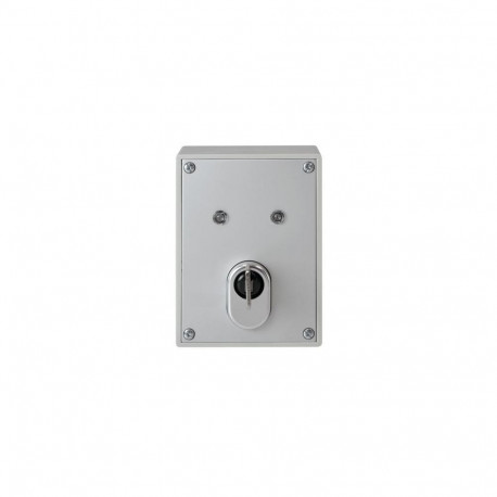 ABUS Key Switch incl. Quality Cylinder (Art. no. SE1010)