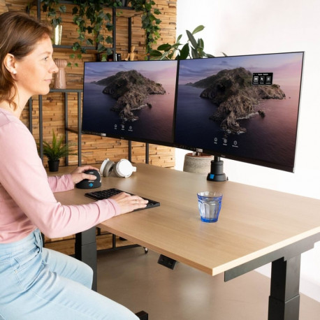 R-Go Tools monitorihoidik R-Go Caparo Dual, kahele monitorile, gaasvedruga reguleeritav, kandevõime 
