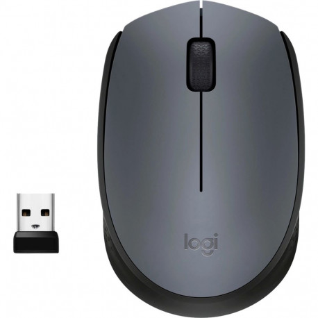 Wireless mouse M170