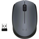 Datora pele Logitech Logitech Wireless Mouse M170 USB