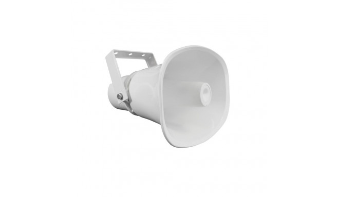 BCS BCS-P-LSIPO30 2-way White Wired 30 W