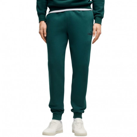 Puma meeste dressipüksid ESS no.1 Logo Sweatpants FL 682607 70 S, roheline