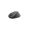 Logitech Signature Comfort Plus M850 L mouse Universal Right-hand RF Wireless + Bluetooth Optical 40