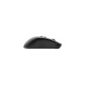 Gembird Dual-mode 7-button wireless mouse, black