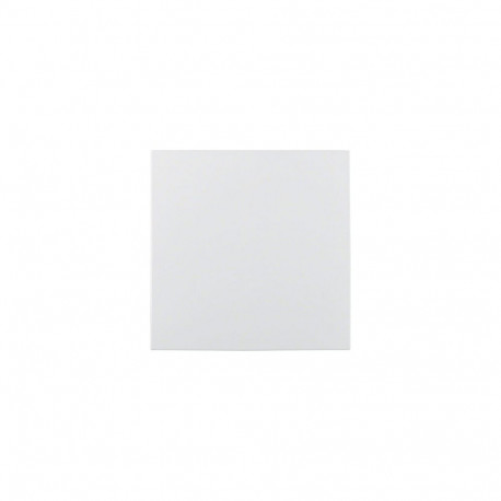 Berker 75940289, valge, Berker S.1/B.3/B.7, IP20, 1tk