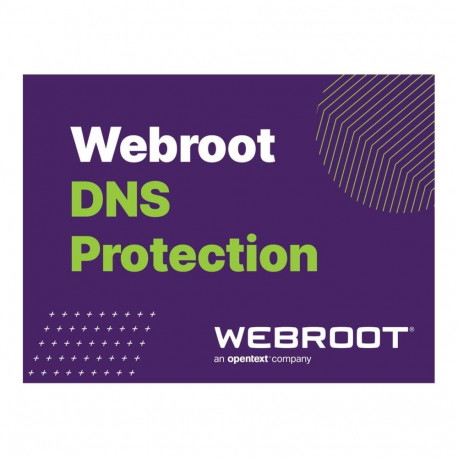 Webroot | DNS Protection with GSM Console | 2 year(s) | License quantity 10-99 user(s)