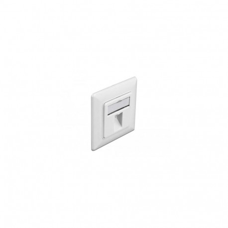 DeLOCK Keystone Wall Outlet 1 port