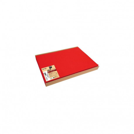 PRONAPPE S340109I placemat Rectangle Red 100 pc(s)