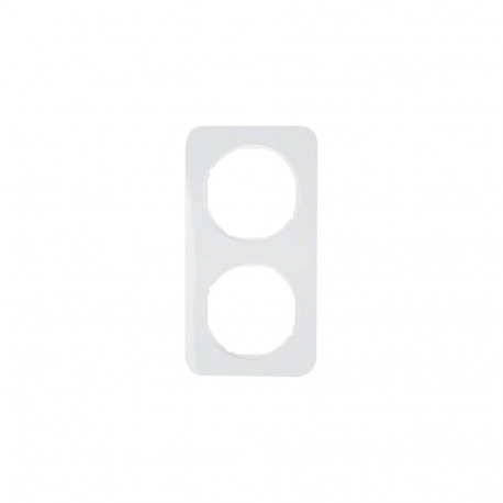 Berker Double Switch Frame 10122189