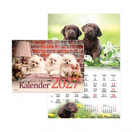 2911601000, Seinakalender Koerakalender