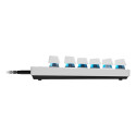 Logitech PRO X TKL RAPID (US), valge