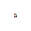 "Ergotron WorkFit-C Single HD"