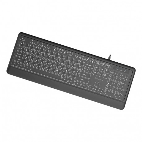 Gembird klaviatuur Slim taustvalgustusega USB-A+C RU