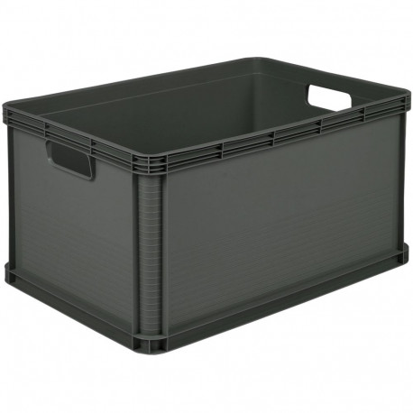 Robert transpordikast kanderihmaga kuni 30kg 60x40x32cm 64L sharp, grafiit 4052396010039