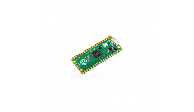 Rp2040 Development Board 133
