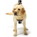 GoPro Fetch koerakinnitus