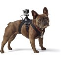 GoProFetch (dog harness)