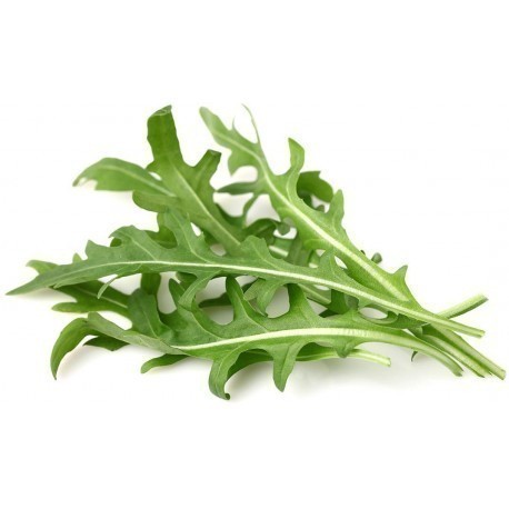 Click & Grow Smart Garden refill Leaf Mustard 3pcs