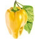 Click & Grow Smart Garden refill Yellow Sweet Pepper 3pcs