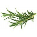 Click & Grow Smart Garden refill Rosemary 3pcs