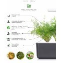 Click & Grow Smart Garden refill Till 3tk