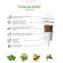 Click & Grow Smart Garden refill Busy Lizzie 3pcs