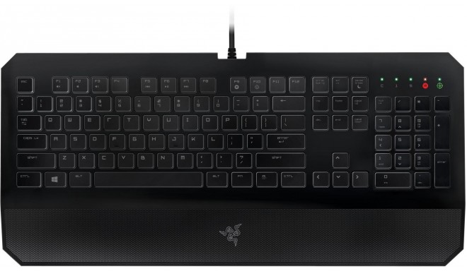 Razer klaviatūra DeathStalker Essential 2014 US
