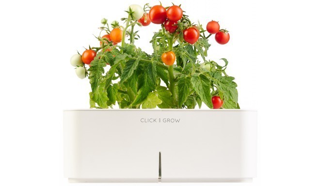 Click & Grow Smartpot Mini-tomato