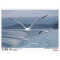 Canon EOS 70D + 18-135 mm IS STM Kit