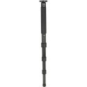 Gitzo monopod GM5541