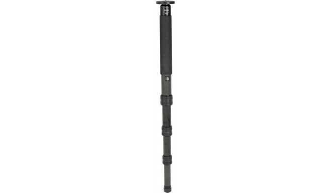 Gitzo monopods GM5541