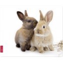 Speedlink mousepad Silk Rabbit (SL6242Ra)